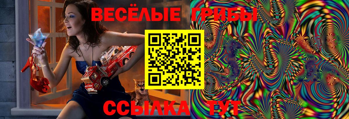 Галлюциногенные грибы мухоморы  Псилоцибиновые грибы Cubensis  Вход с VPN  Рязань 