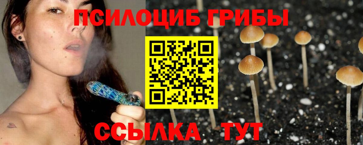 Псилоцибиновые грибы мухоморы Рязань
